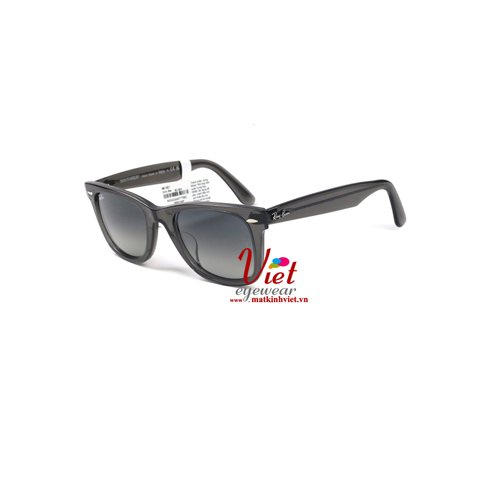 Kính mát RayBan RB2140F 6846/71